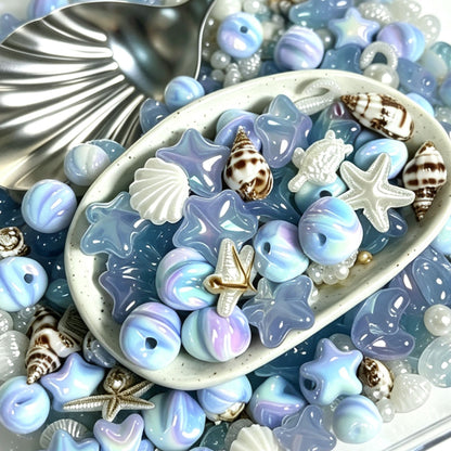 Ocean & Seashells