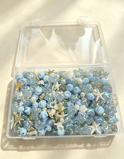 Ocean & Seashells